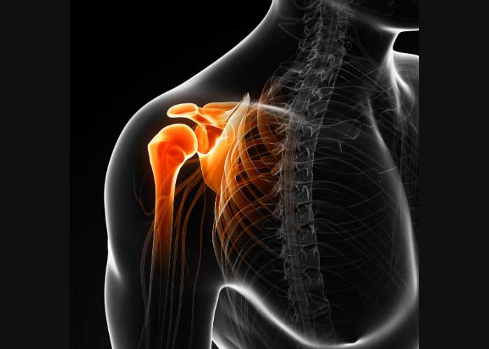 Rotator Cuff